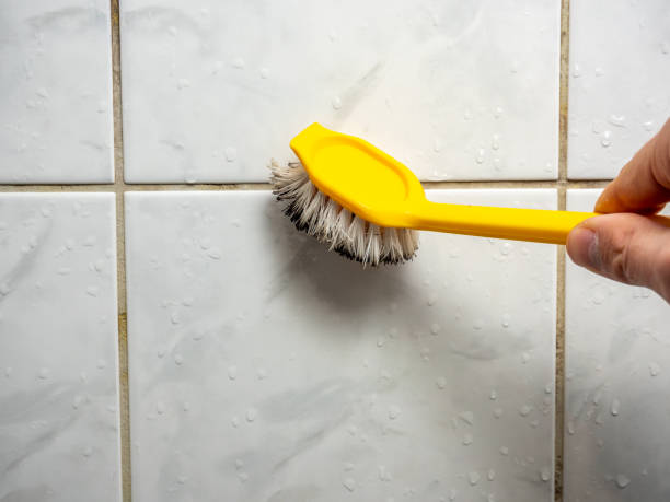 Reliable Glenmora, LA Mold Remediation Solutions